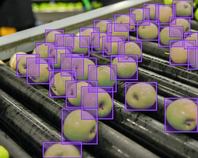 Agricultural sorting — vision-based grading on the line